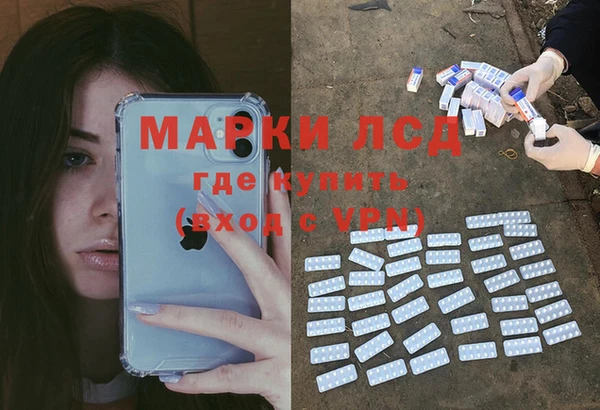 индика Алексеевка