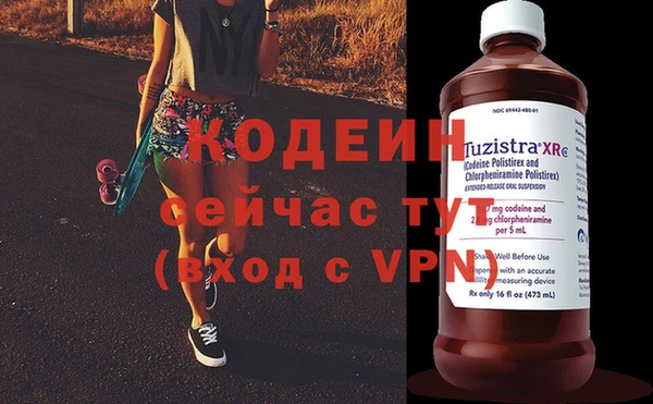стаф Осинники
