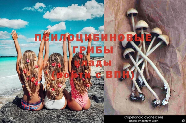 молекула духа Алзамай
