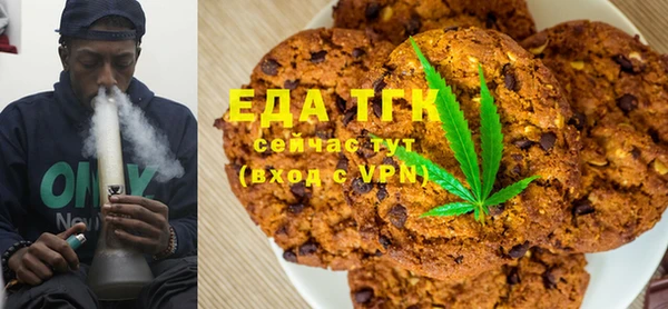 стаф Осинники