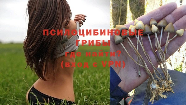 молекула духа Алзамай