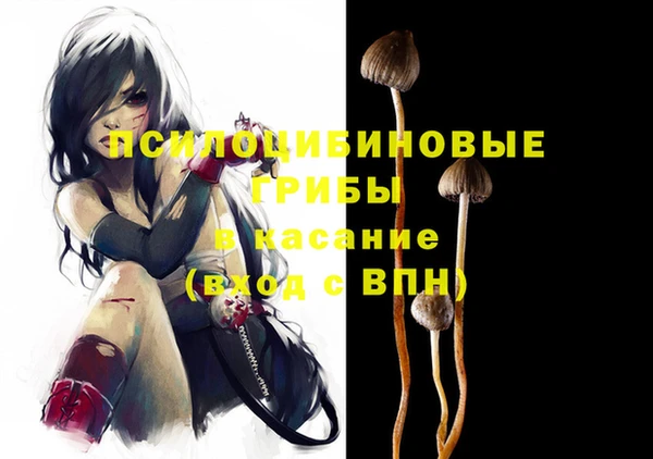 индика Алексеевка